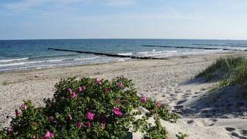 Plage à proximité