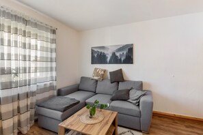 TV - Apartment 'Fewo45' with Wi-Fi in the Historic Center (Homberg (Efze))