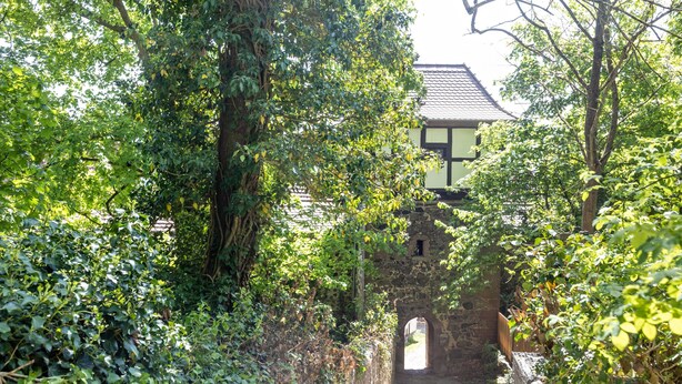 Un étroit sentier de pierre mène à un bâtiment traditionnel doté d’un toit en tuiles, le tout étant entouré d’une végétation luxuriante.