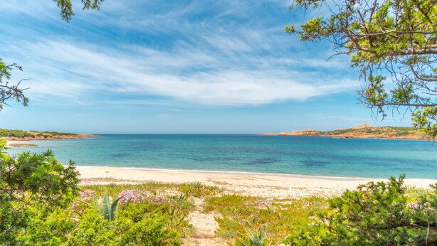 Un camino que lleva a una playa con aguas azules cristalinas y colinas a lo lejos.