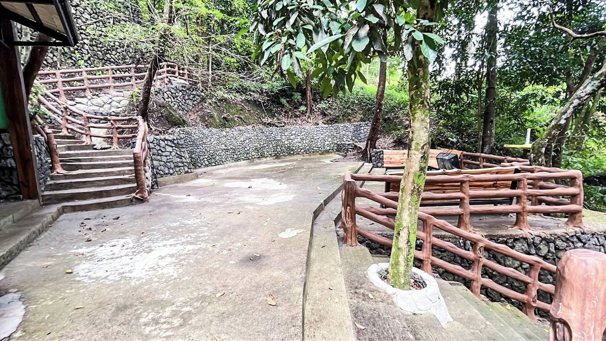 A set of wooden stairs leading up a stone wall, surrounded by lush greenery.