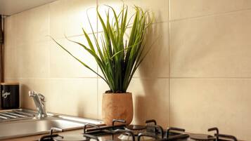 Microwave, oven, stovetop