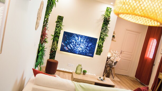 A modern living room with a flat-screen TV mounted on the wall, surrounded by greenery, a wooden coffee table, and a sofa with a throw blanket.