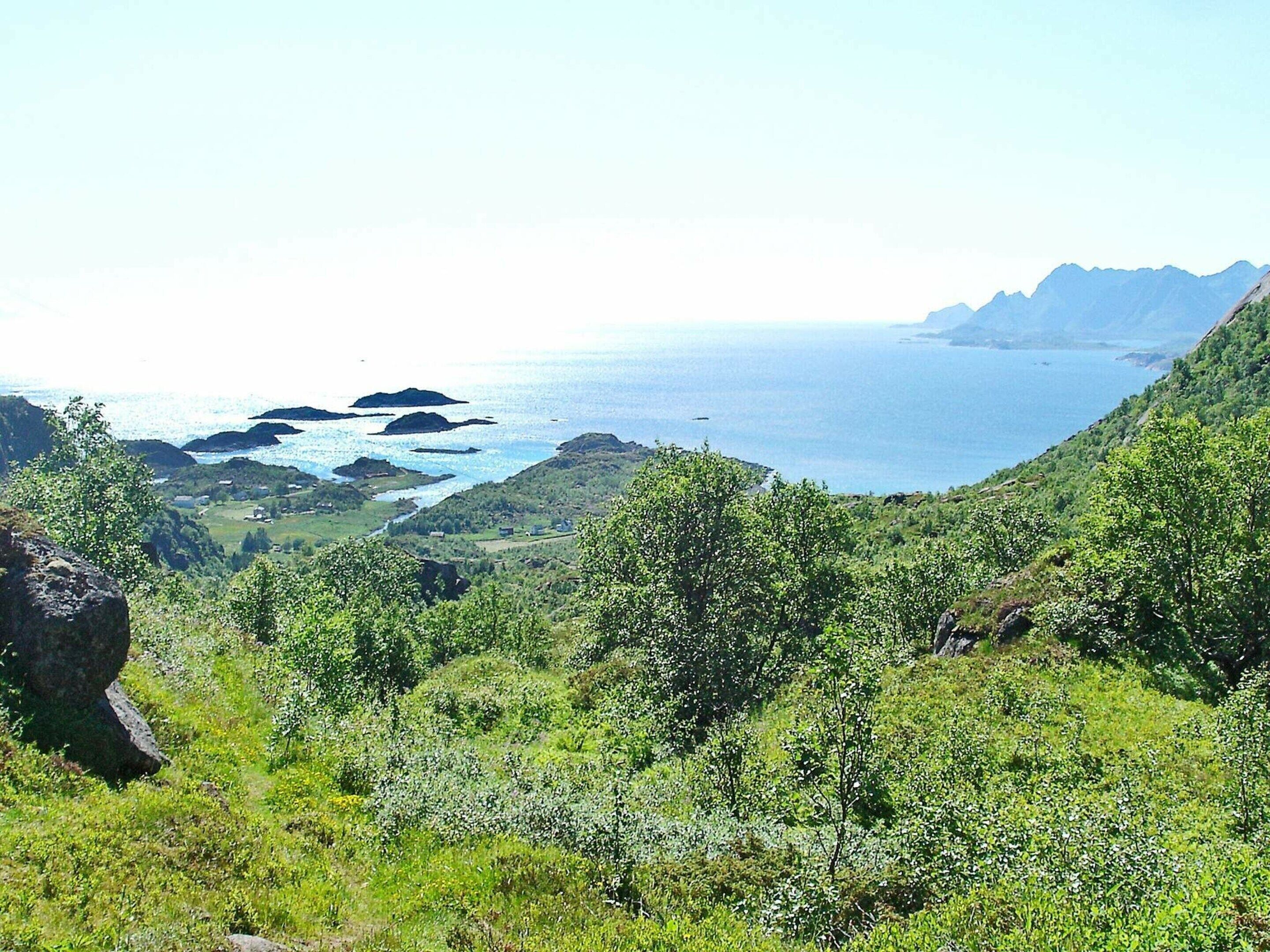 Paesaggio costiero con vegetazione rigogliosa e affioramenti rocciosi.