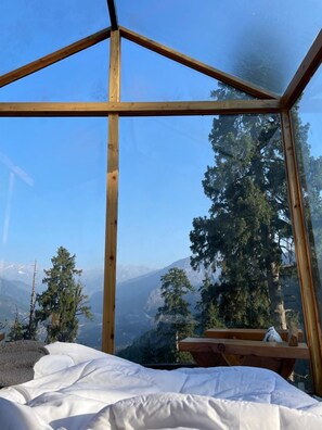 Luxury Villa, Mountain View | 1 bedroom, premium bedding, pillow-top beds, soundproofing - Cove The Glass House (Manali)