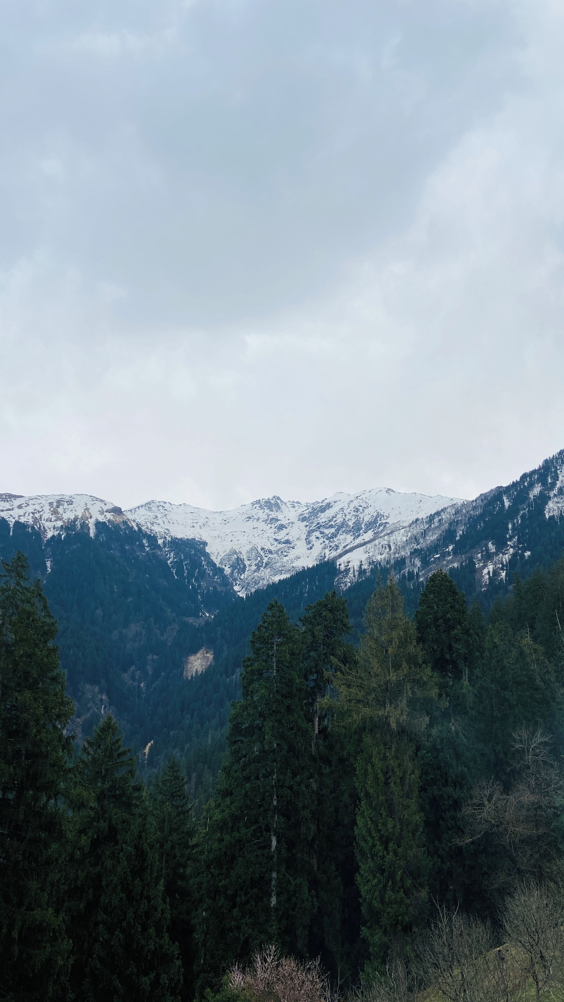 A mountainous landscape with snow-covered peaks and dense forest in the foreground.