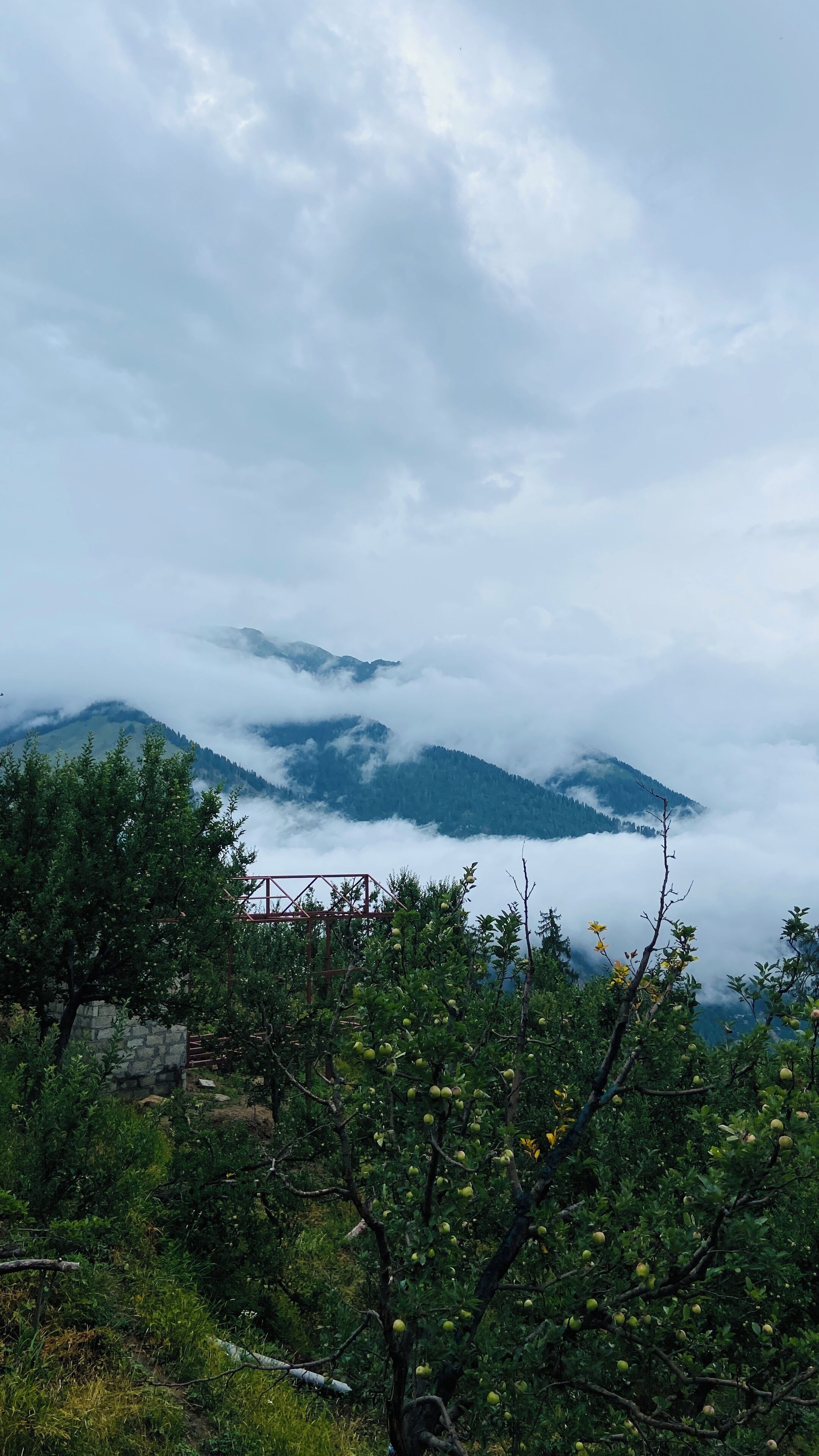 A mountainous landscape with a bridge and dense greenery.