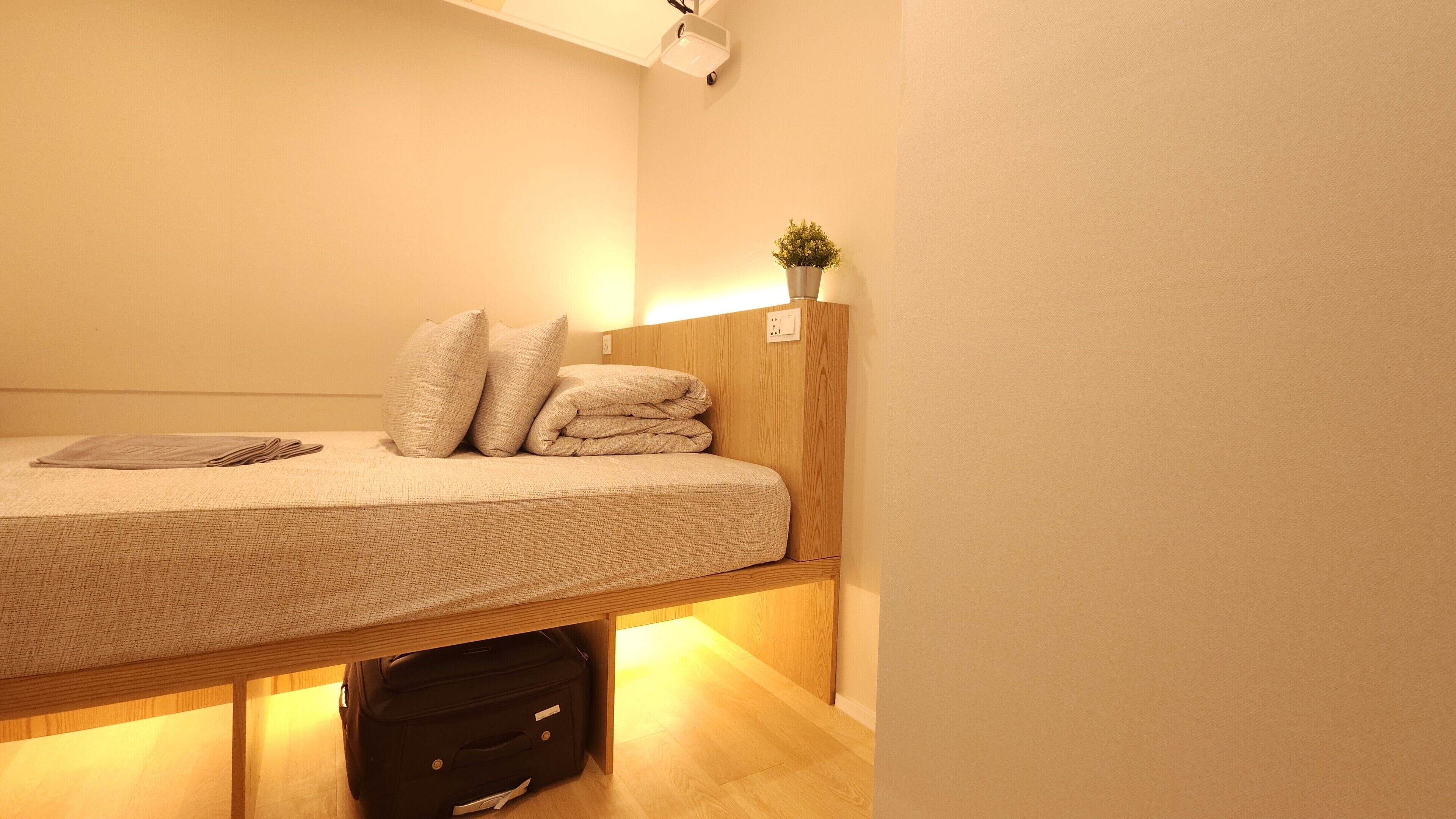 A neatly made bed with pillows, a bedside table with a lamp, and a small plant on the wall.