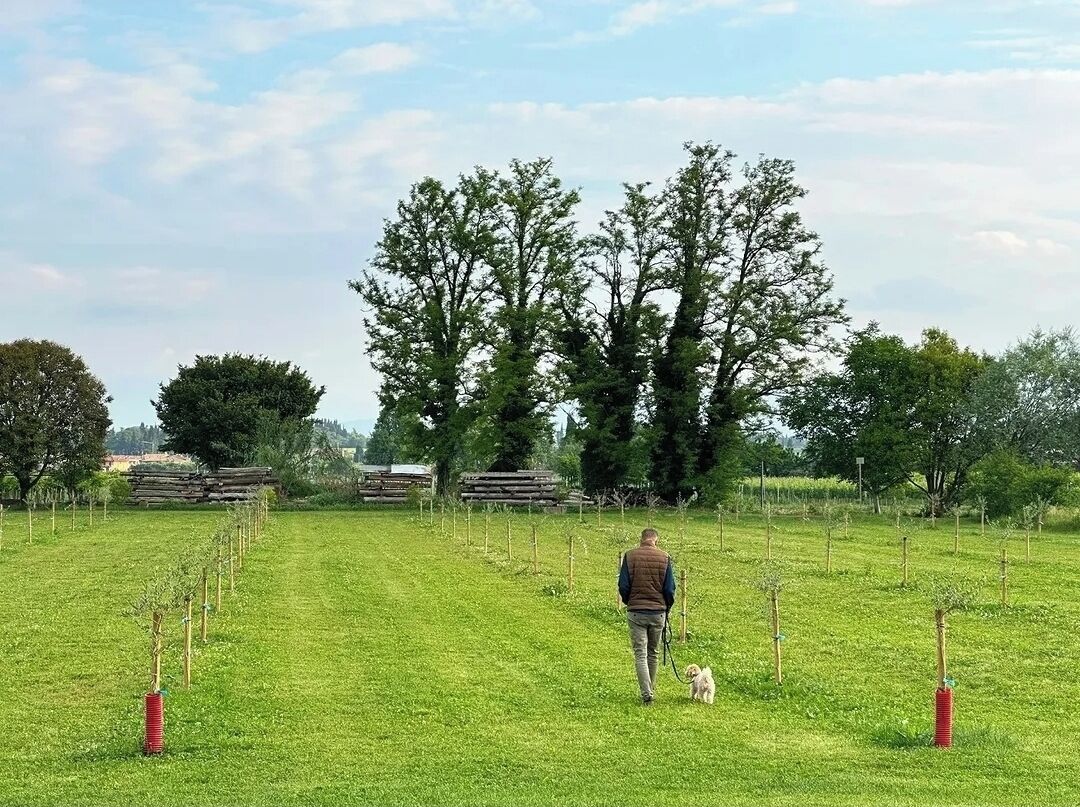 Parco della struttura