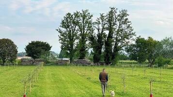 Parco della struttura