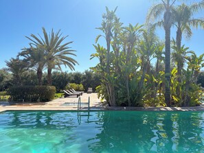 حمّام سباحة خارجي