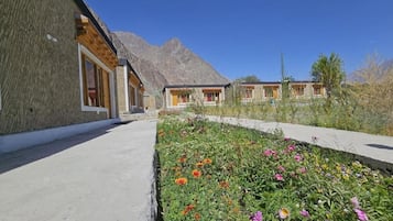 Vista al jardín