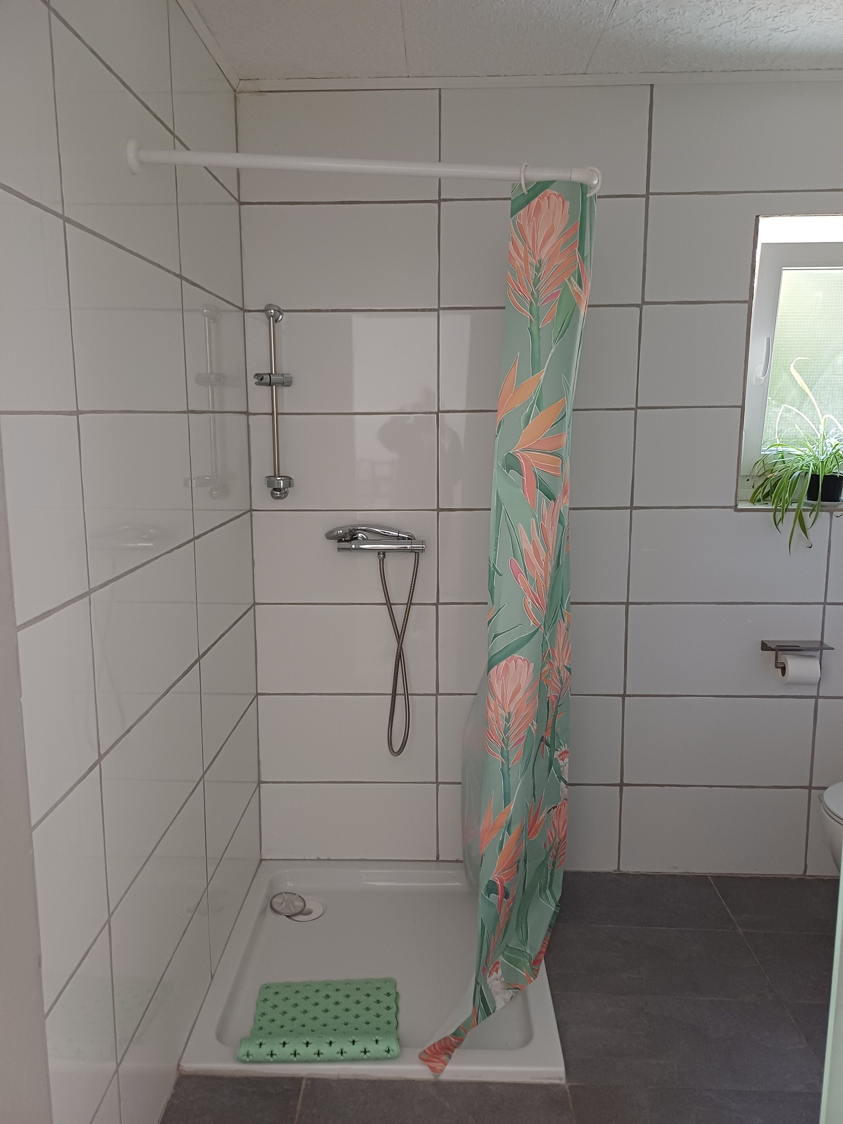 Shower, hair dryer, soap, toilet paper