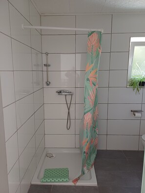 Douche, séchoir à cheveux, savon, papier de toilette