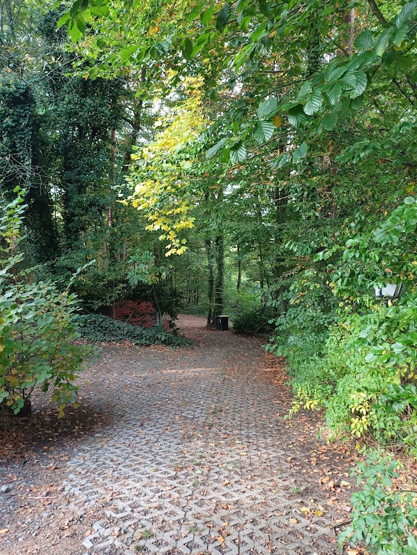 Property grounds - Vacation apartment in the forest/ central location/ leisure facilities (Neunkirchen)