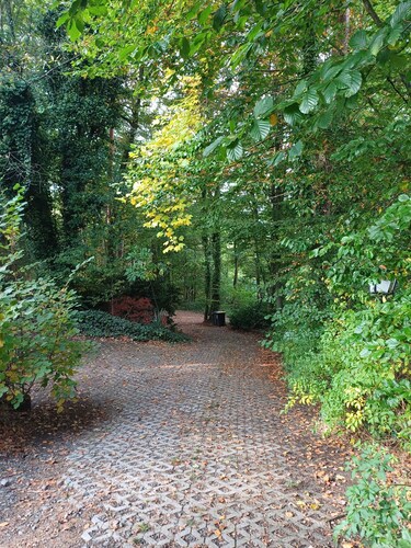 Ferienwohnung im Wald/ ZentraleLage/Freizeitmöglichkeiten