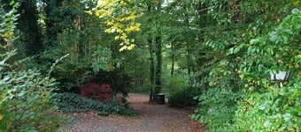 Vacation apartment in the forest/ central location/ leisure facilities