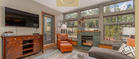 TV, fireplace
