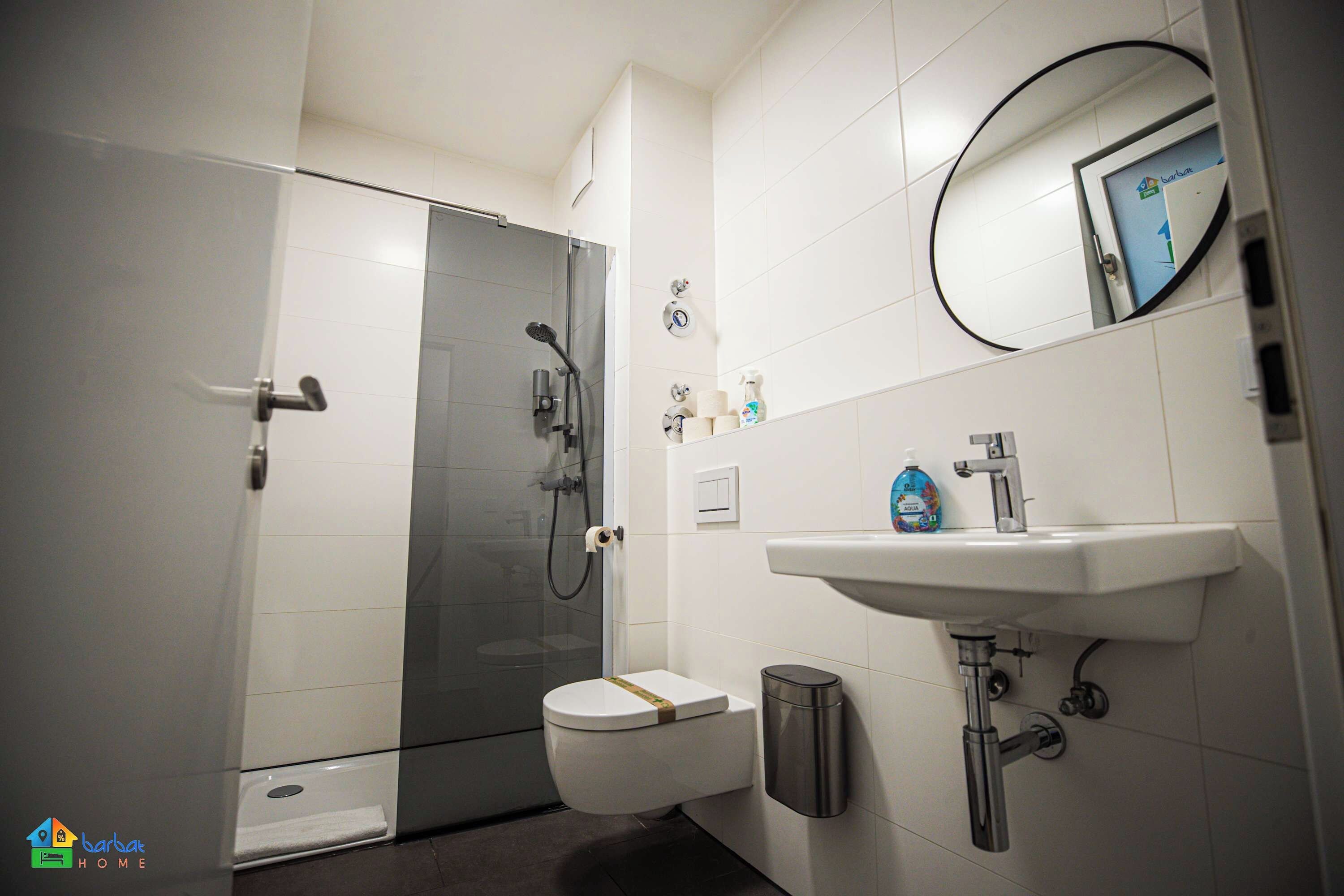 A modern bathroom with a glass shower enclosure, a toilet, a sink, and a mirror.