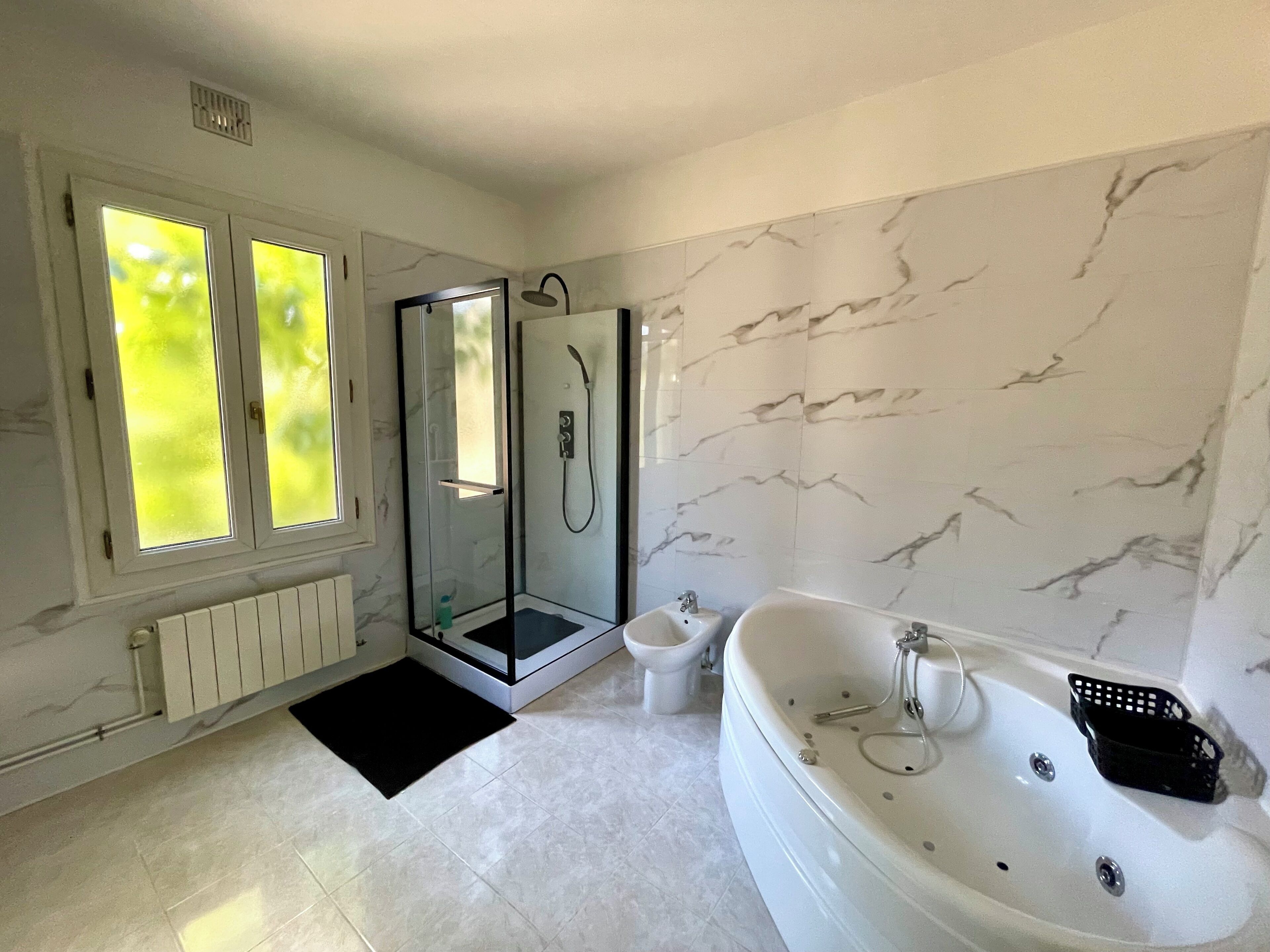 Shower, jetted tub, hair dryer, bidet