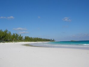 Une plage de sable blanc, avec une eau turquoise et limpide, et une végétation clairsemée.