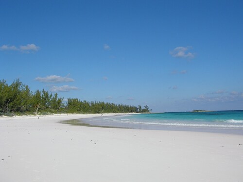 Brand New Stylish Studio Condo, Pool and Beach Access, Short Walk to Town