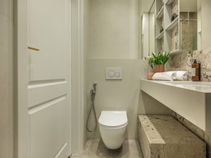 Casa de banho com sanita, chuveiro, lavatório com espelho e um porta-toalhas.