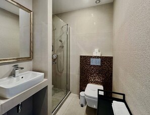 A modern bathroom with a glass-enclosed shower, a white sink, and a toilet.