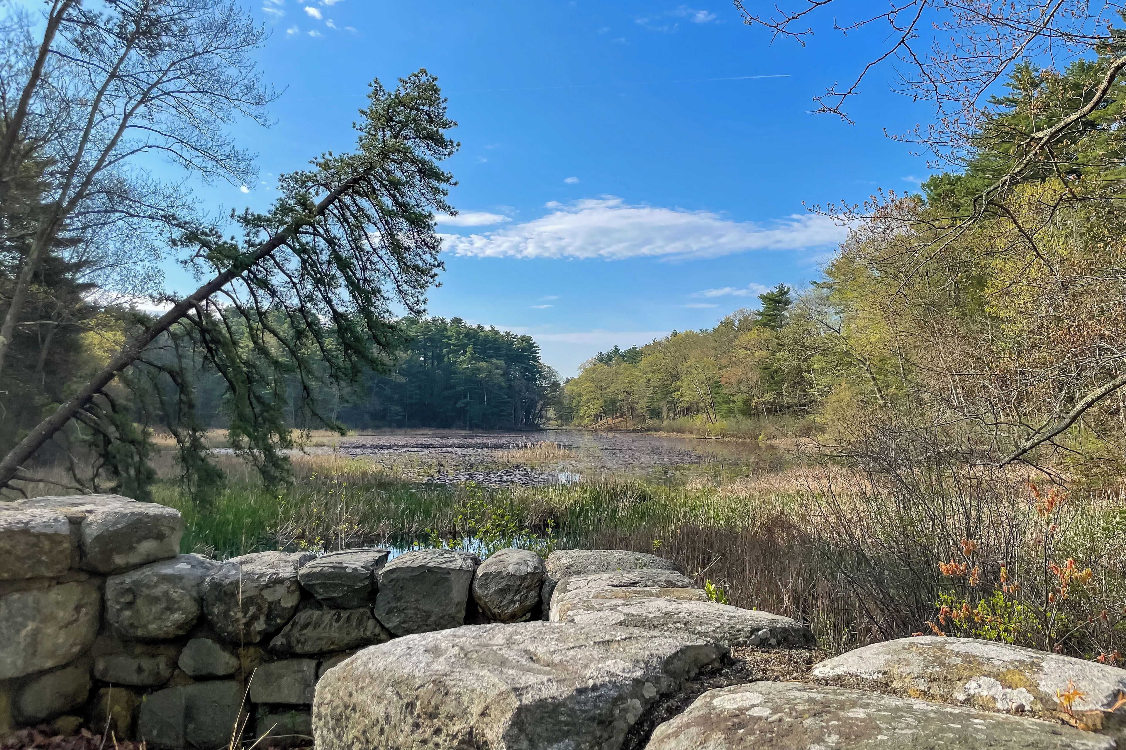 A stone wall leading to a natural landscape with trees and a clear sky.