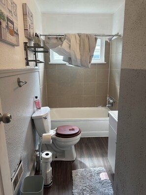 Hair dryer, towels, soap, toilet paper