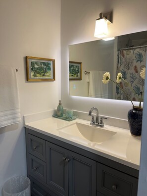 Regadera, secadora de cabello, bidet, toallas 