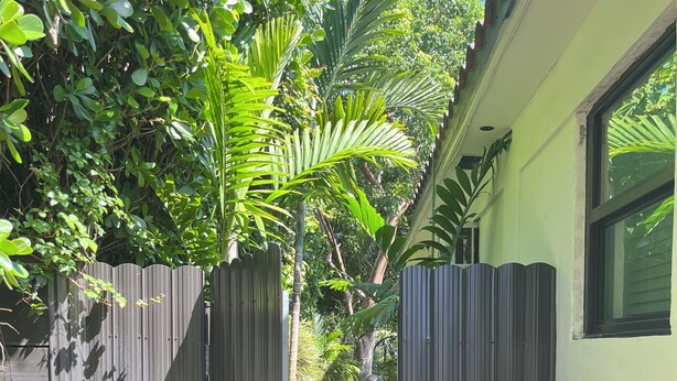 A narrow pathway flanked by a wooden fence and lush greenery, leading to a bench and a building with a window. - Charming 1-bedroom apartment in delightful Biscayne Park (North Miami)