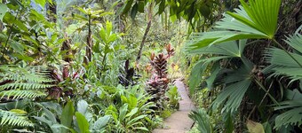 Romantic Studio Retreat with Breathtaking Ocean & Mountain Scenery