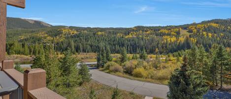 A view from a balcony overlooking a forested valley with a road and a river.