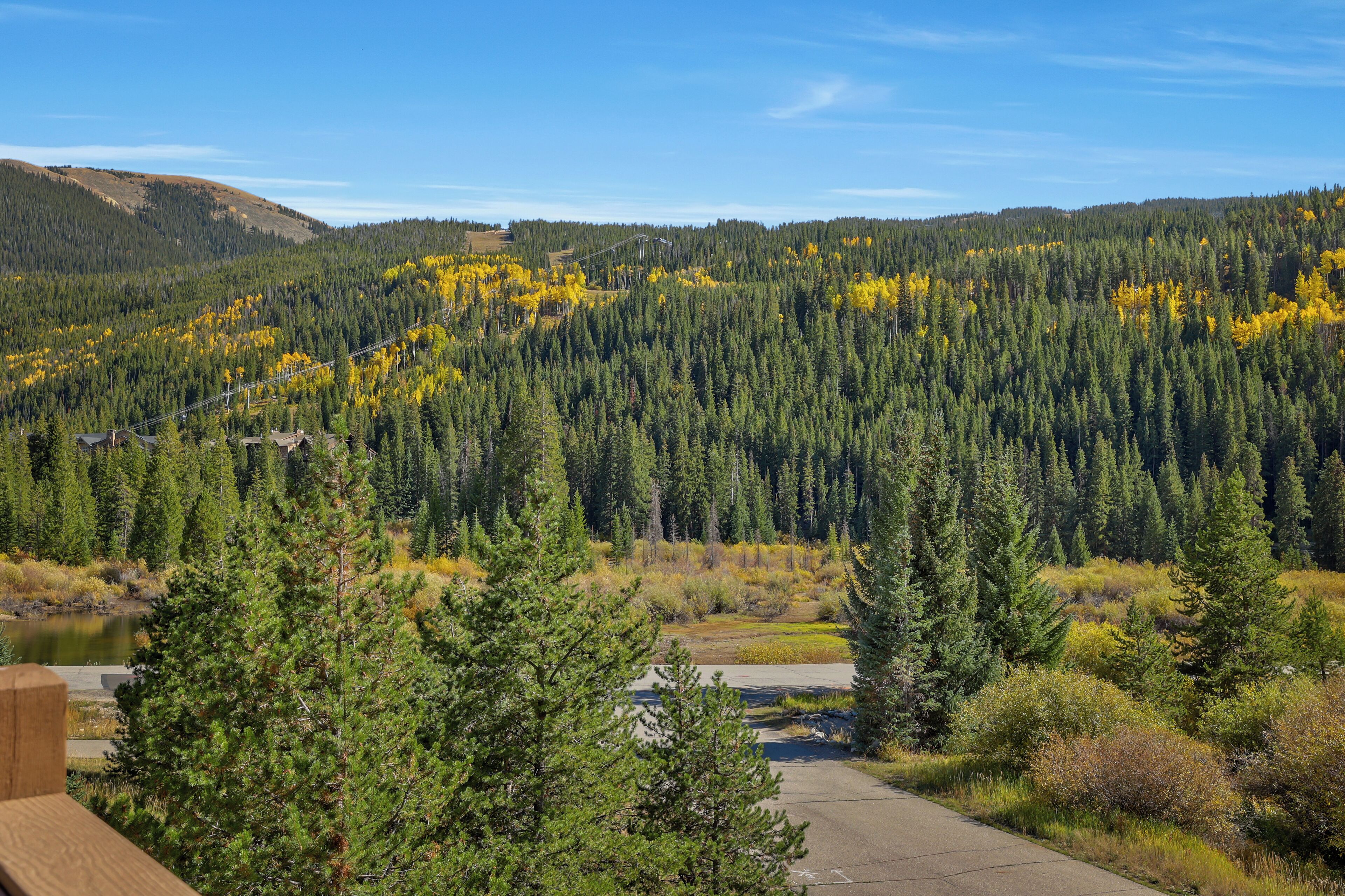A view of a forested area with a road and a small building in the foreground.