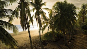 A beach with palm trees and a path leading to the water. - Solindo Stays (Cuajiniquil)