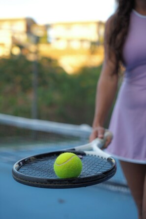 A tennis racket with a tennis ball on a blue tennis court. - Solindo Stays (Cuajiniquil)