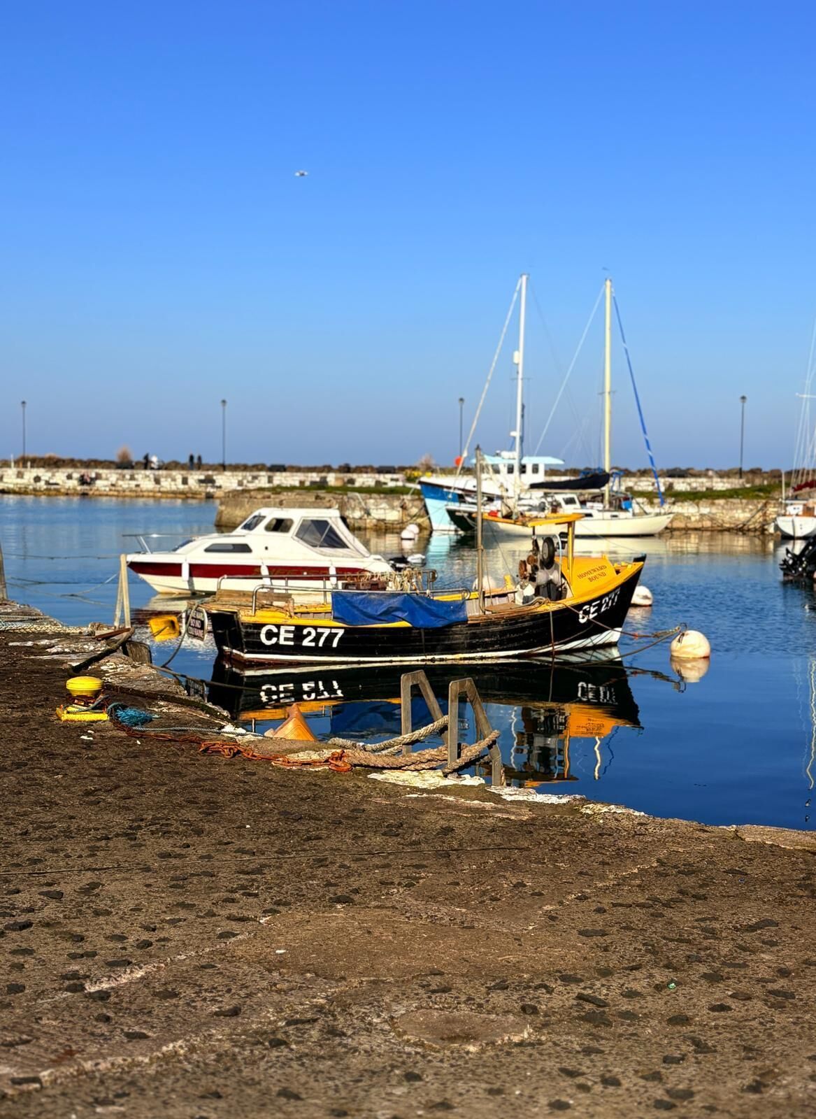 Marina