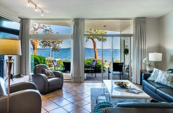 Smart TV, fireplace, books