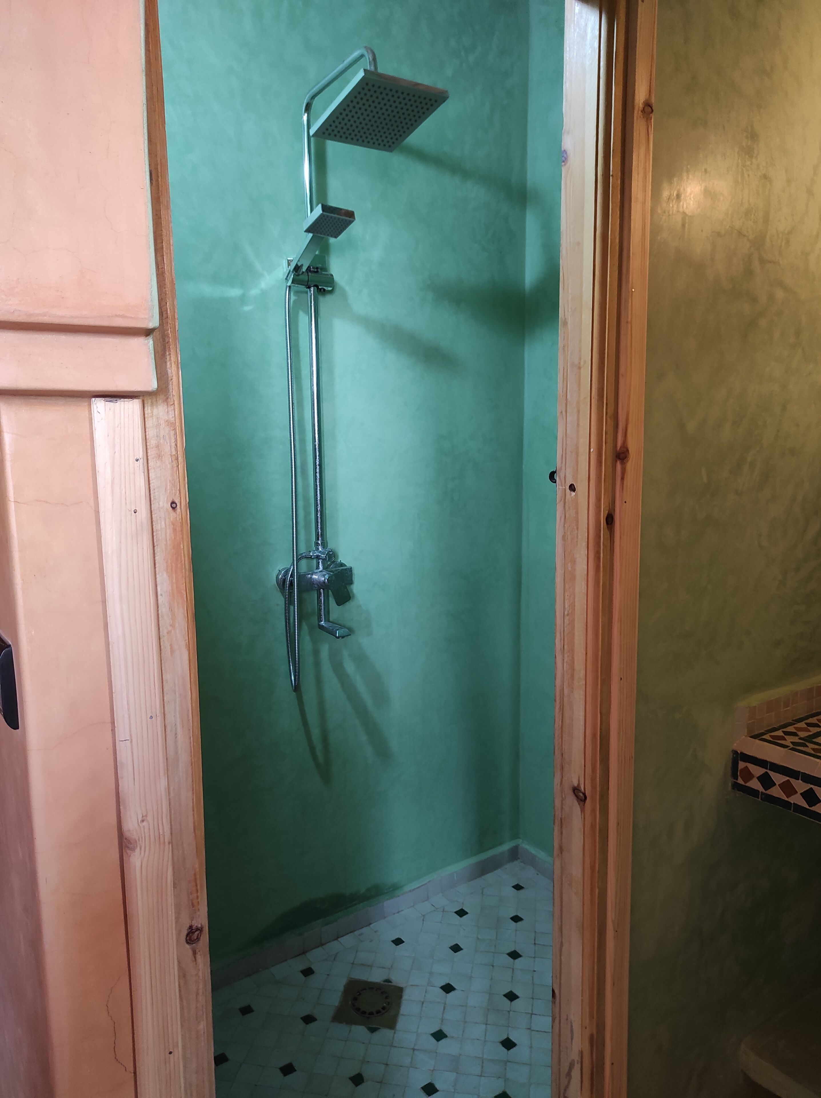 Un baño pequeño y estrecho con ducha y retrete.