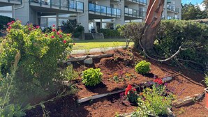 A multi-story residential building with balconies, a garden with various plants and flowers, and a tree trunk in the foreground. - Oceanfront Escape - Studio with kitchenette  (Ladysmith)