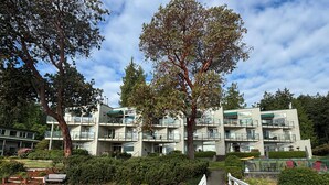 A multi-story residential building with balconies, a wooden walkway, and surrounding greenery. - Oceanfront Escape - Studio with kitchenette  (Ladysmith)