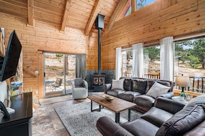 Smart TV, fireplace, video games, books