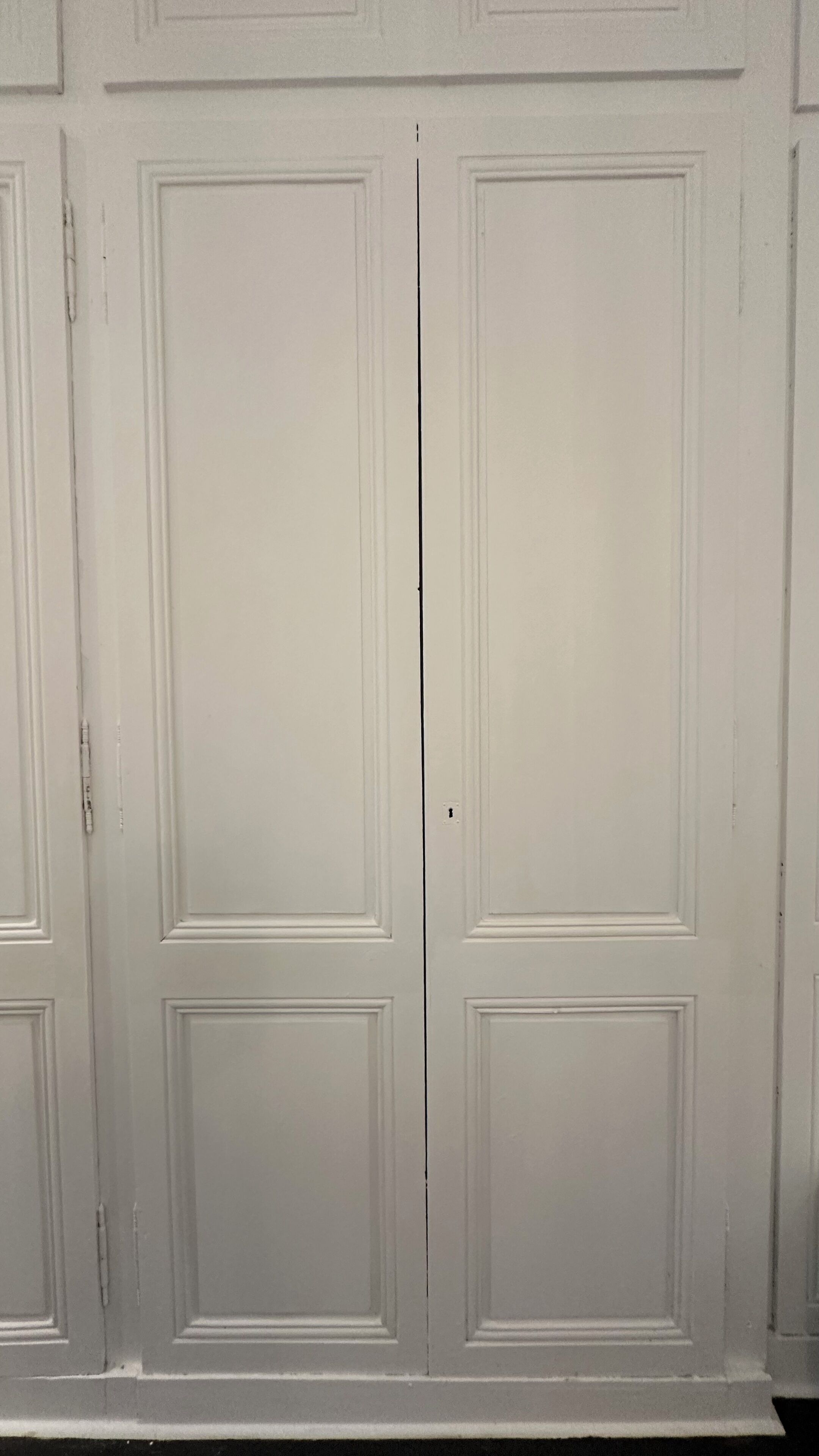 Un conjunto de puertas dobles blancas con un diseño sencillo, que presenta un panel vertical central y dos paneles más pequeños a cada lado.