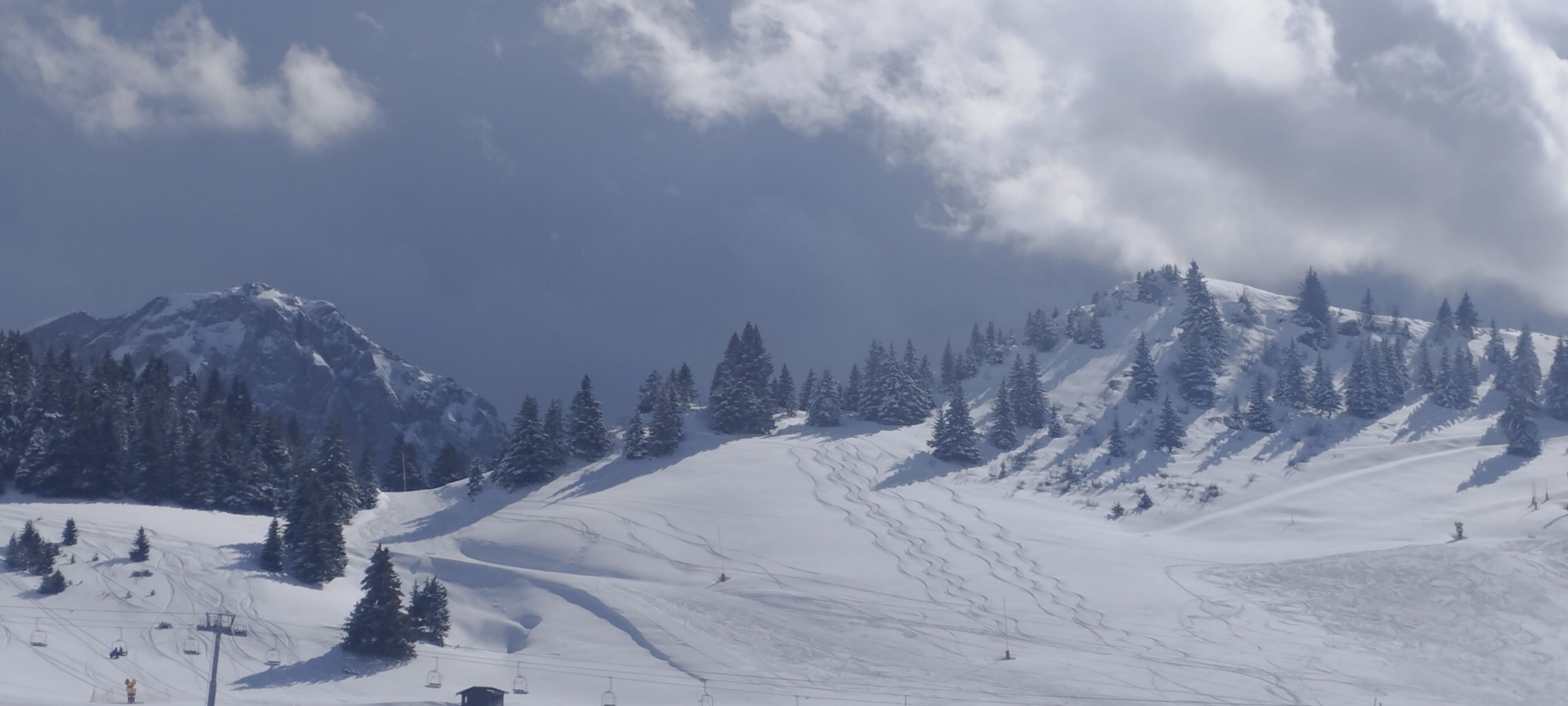 Snø- og skisport