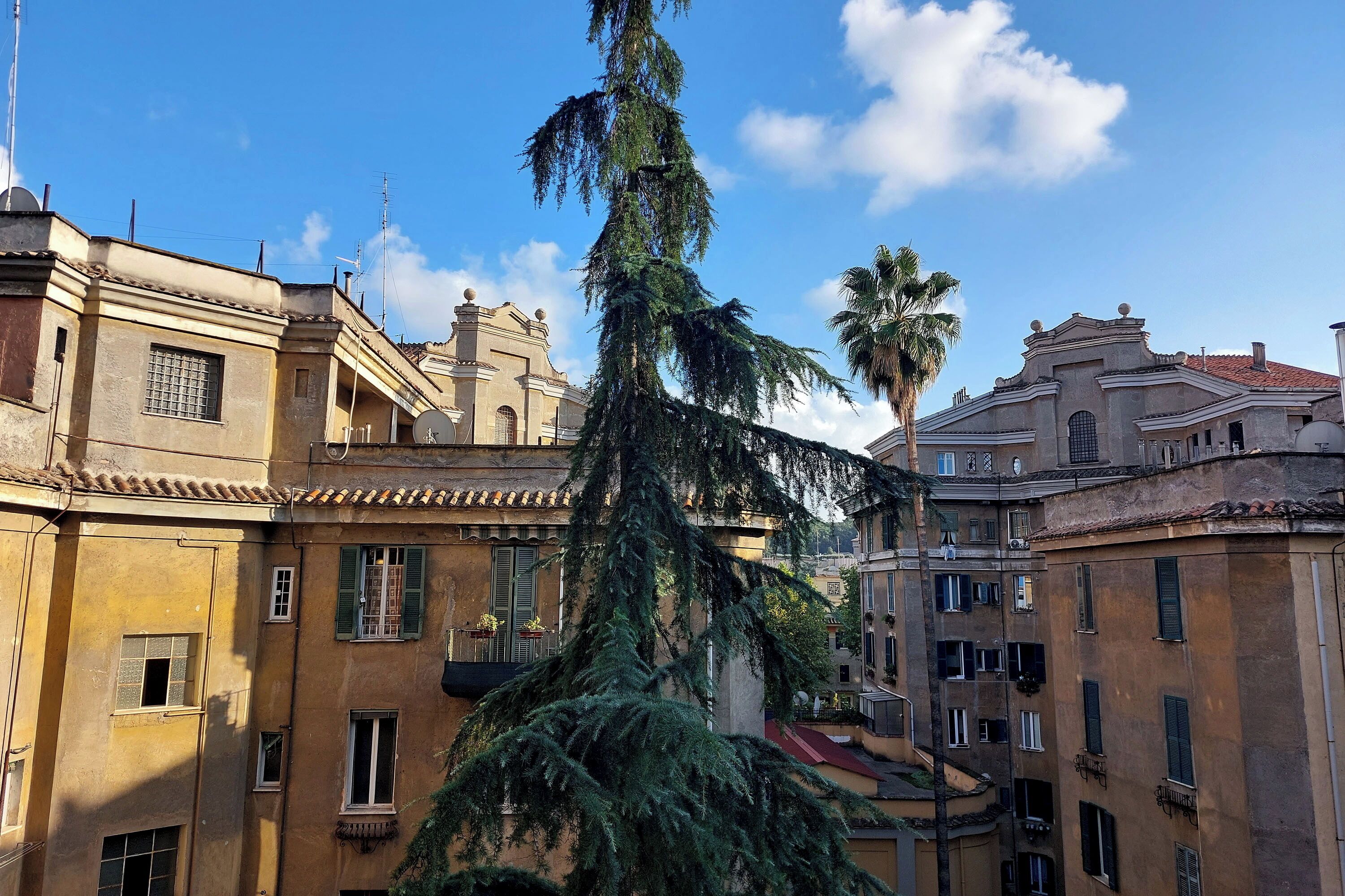 A courtyard with buildings featuring traditional architecture, including balconies and a palm tree.