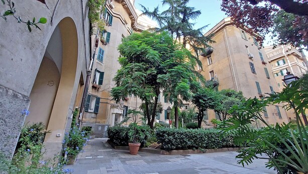 A courtyard with a large tree, potted plants, and a tiled walkway. - 4BNB - Armot House Vatican Apartment (Rome)