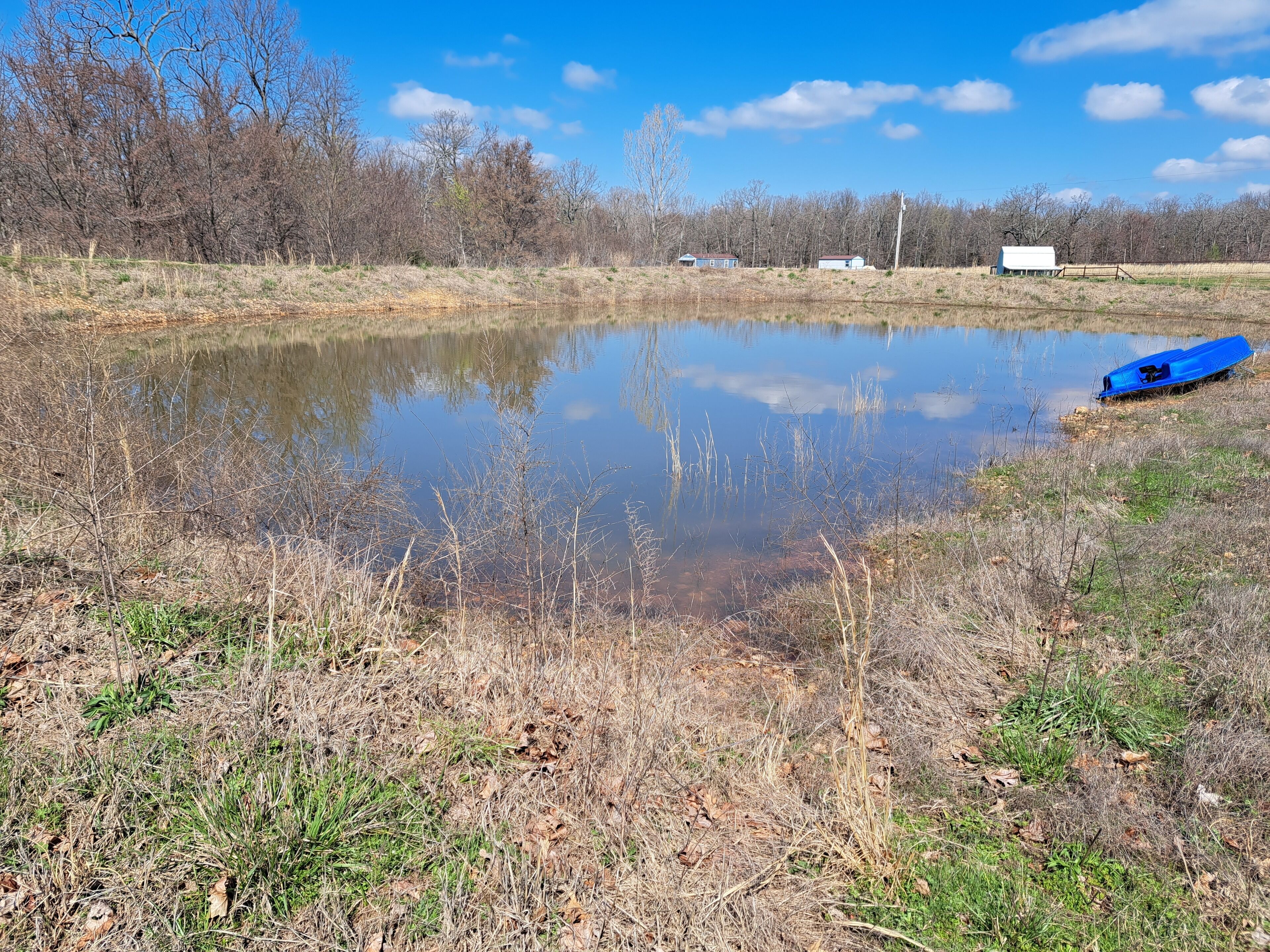 A serene pond with sparse vegetation and a blue object on the right.