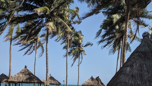 A beach with palm trees, thatched-roof huts, and a patterned walkway. - cocobeach chez antoine avepozo (Lomé)