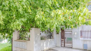 A building with a concrete facade, metal gates, and a tree with green leaves.
